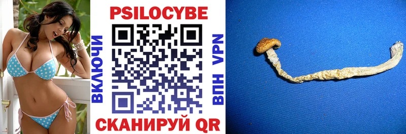 где продают наркотики  Тогучин  blacksprut зеркало  Псилоцибиновые грибы Psilocybe 